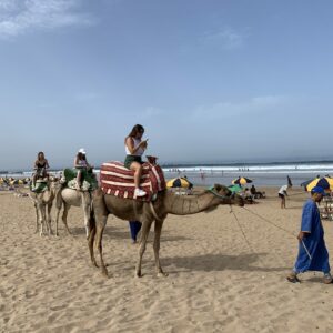Remote Work Surf Camp – Morocco