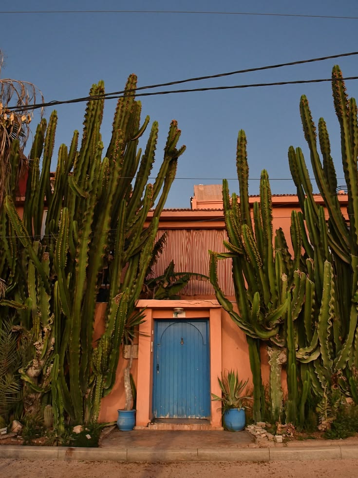 surf trip morocco budget comparison diy vs all inclusive